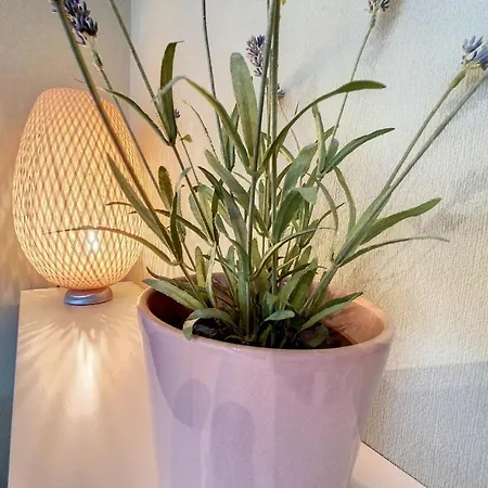 Apartment 'thibault' Te - Bad *