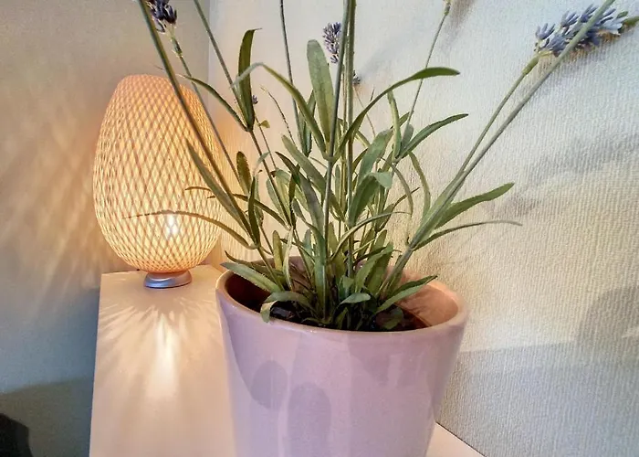 Apartment 'thibault' Te - Bad *